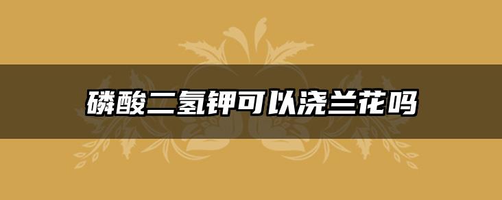磷酸二氢钾可以浇兰花吗