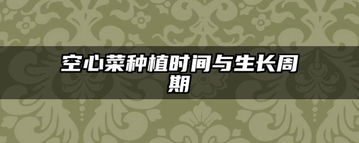 空心菜种植时间与生长周期