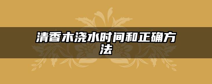 清香木浇水时间和正确方法