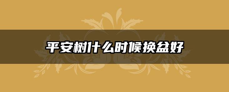 平安树什么时候换盆好