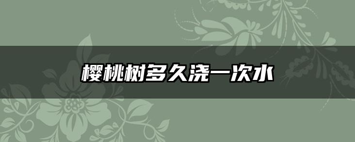 樱桃树多久浇一次水
