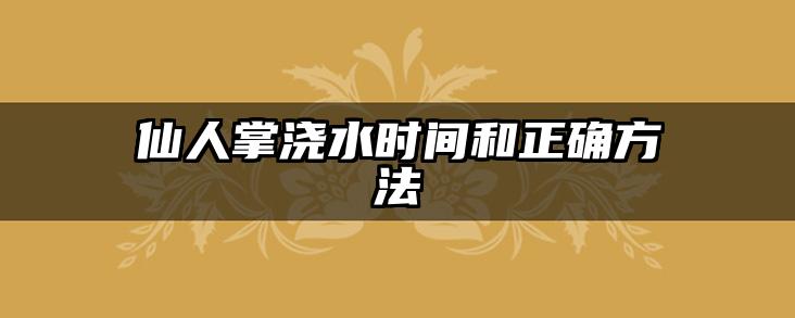 仙人掌浇水时间和正确方法