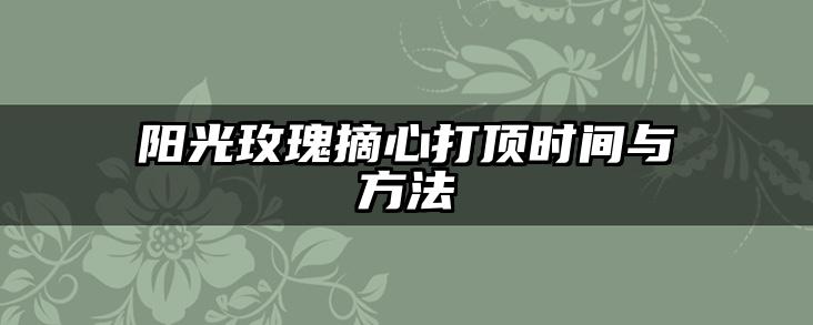 阳光玫瑰摘心打顶时间与方法