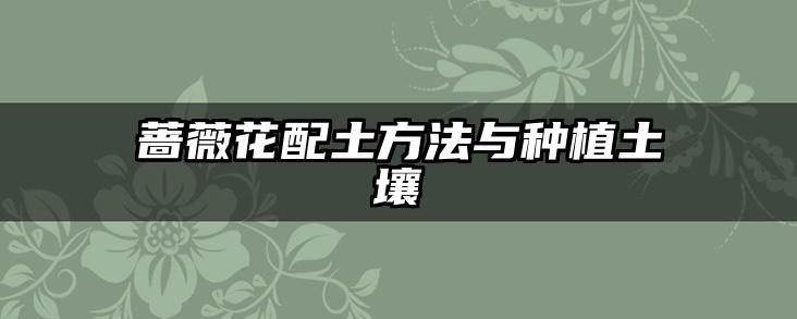 蔷薇花配土方法与种植土壤