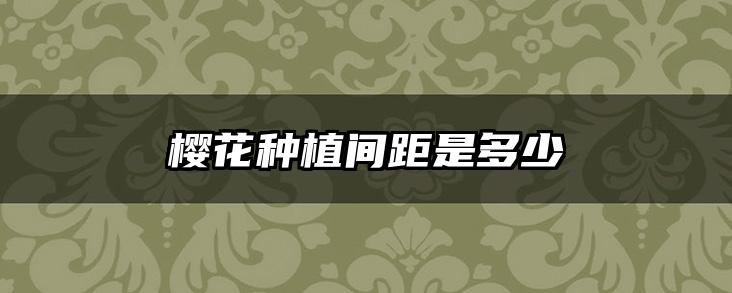 樱花种植间距是多少