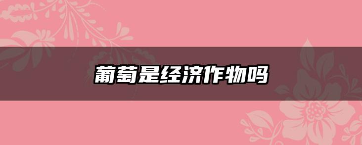 葡萄是经济作物吗
