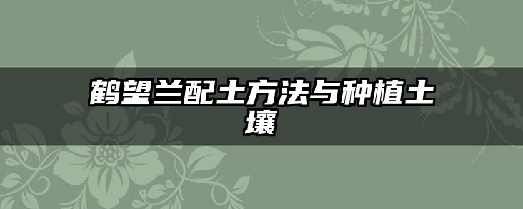 鹤望兰配土方法与种植土壤