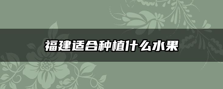 福建适合种植什么水果