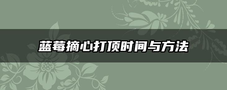 蓝莓摘心打顶时间与方法