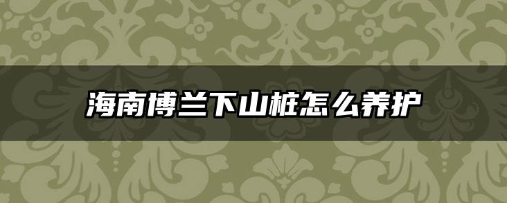 海南博兰下山桩怎么养护