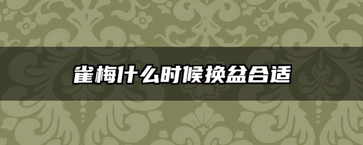 雀梅什么时候换盆合适