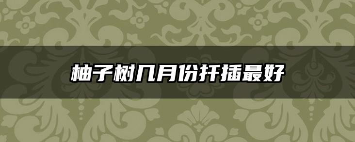 柚子树几月份扦插最好