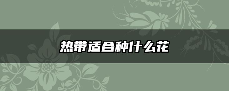 热带适合种什么花