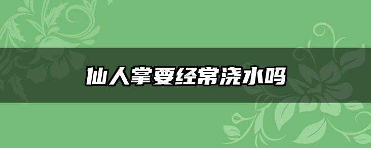 仙人掌要经常浇水吗