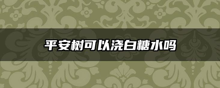 平安树可以浇白糖水吗