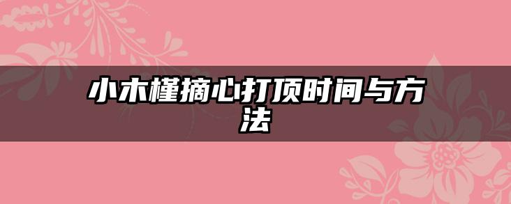 小木槿摘心打顶时间与方法