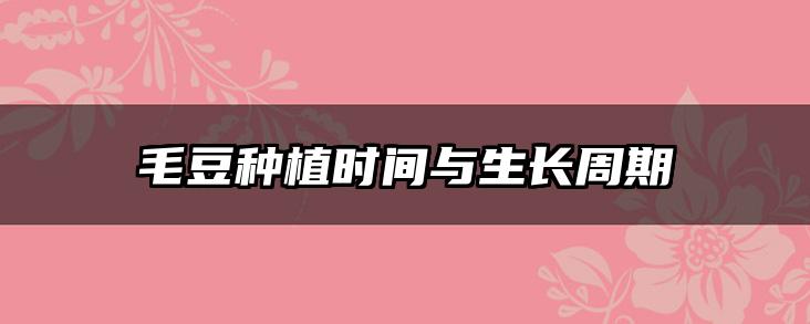 毛豆种植时间与生长周期