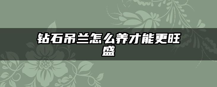 钻石吊兰怎么养才能更旺盛