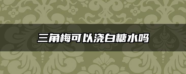 三角梅可以浇白糖水吗