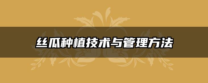 丝瓜种植技术与管理方法