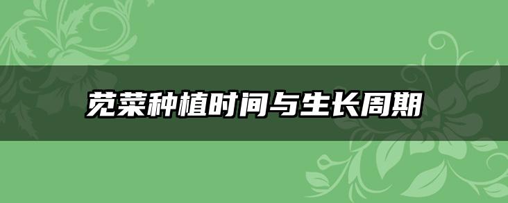 苋菜种植时间与生长周期