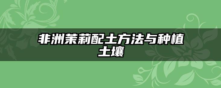 非洲茉莉配土方法与种植土壤
