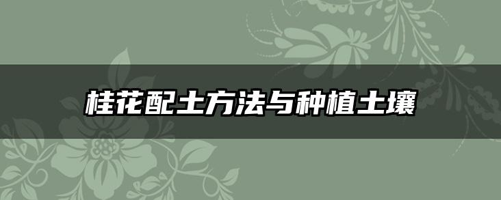 桂花配土方法与种植土壤