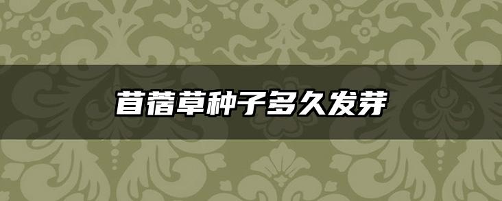 苜蓿草种子多久发芽