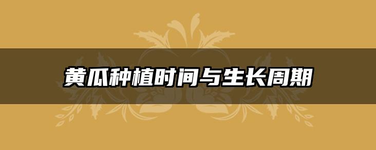 黄瓜种植时间与生长周期