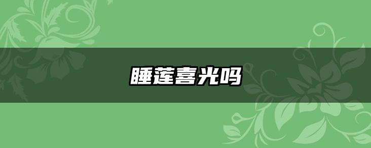 睡莲喜光吗