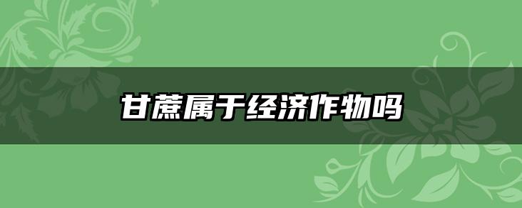 甘蔗属于经济作物吗