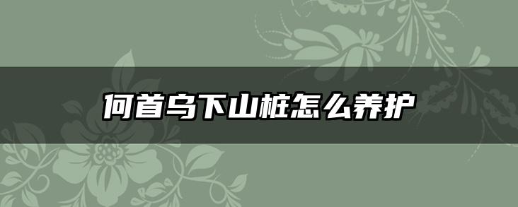 何首乌下山桩怎么养护
