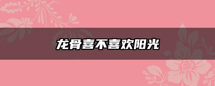 龙骨喜不喜欢阳光