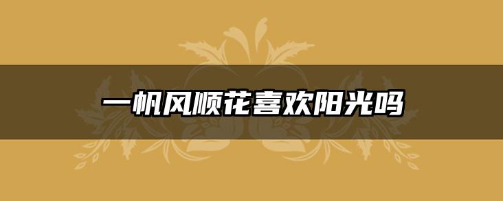 一帆风顺花喜欢阳光吗