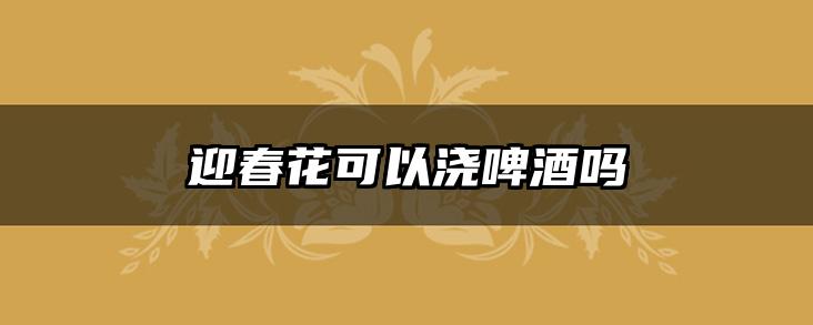 迎春花可以浇啤酒吗