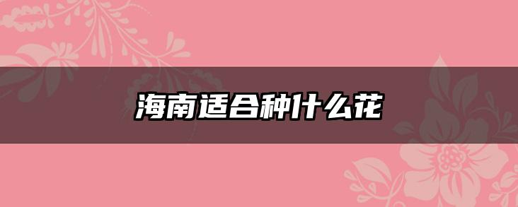 海南适合种什么花