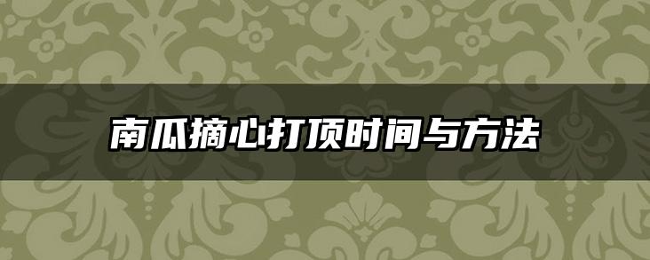 南瓜摘心打顶时间与方法