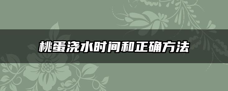 桃蛋浇水时间和正确方法