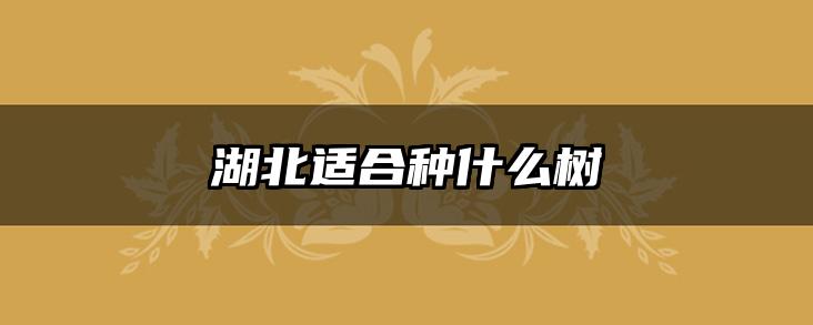 湖北适合种什么树