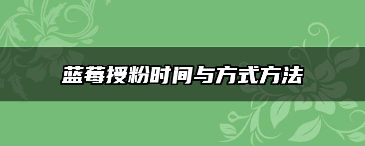 蓝莓授粉时间与方式方法