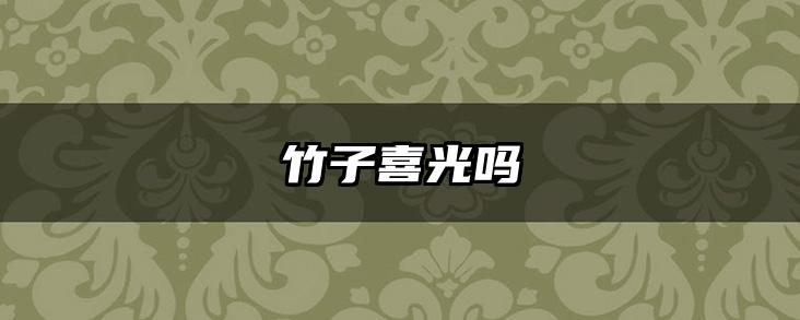 竹子喜光吗