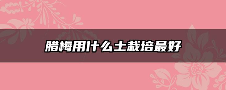 腊梅用什么土栽培最好