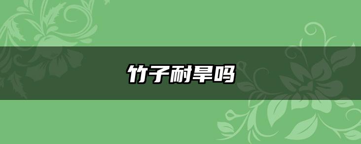 竹子耐旱吗