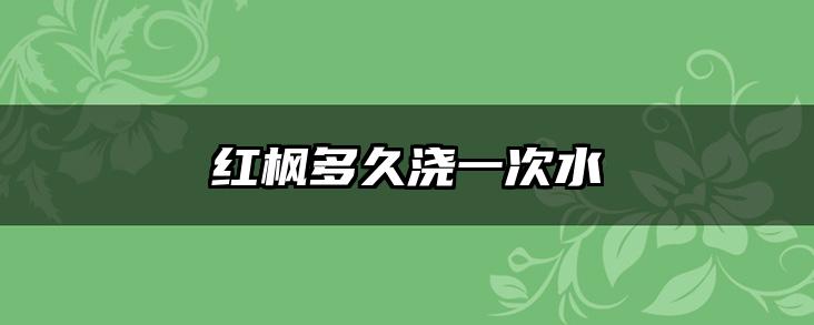 红枫多久浇一次水