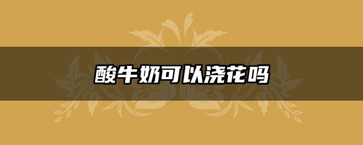 酸牛奶可以浇花吗