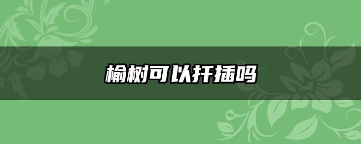榆树可以扦插吗