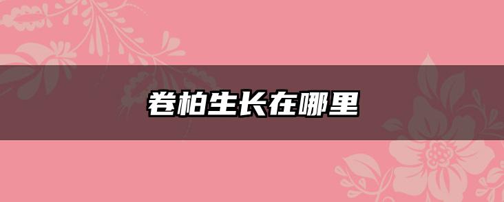 卷柏生长在哪里