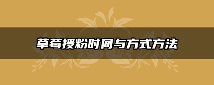 草莓授粉时间与方式方法