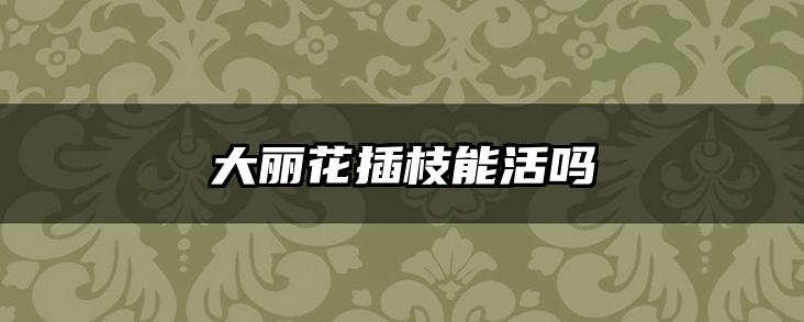 大丽花插枝能活吗