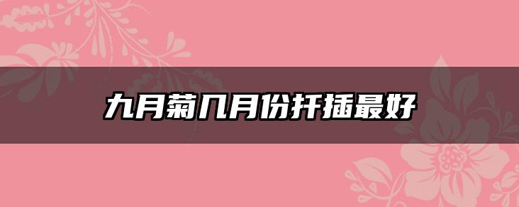 九月菊几月份扦插最好